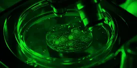 plastic under microscope