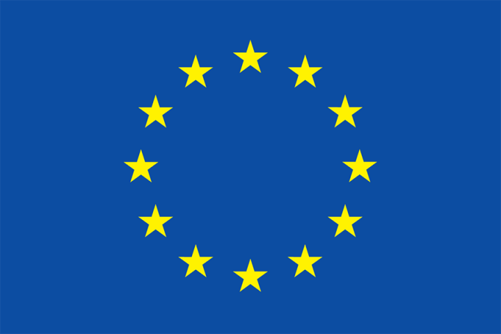 eu flag in colour