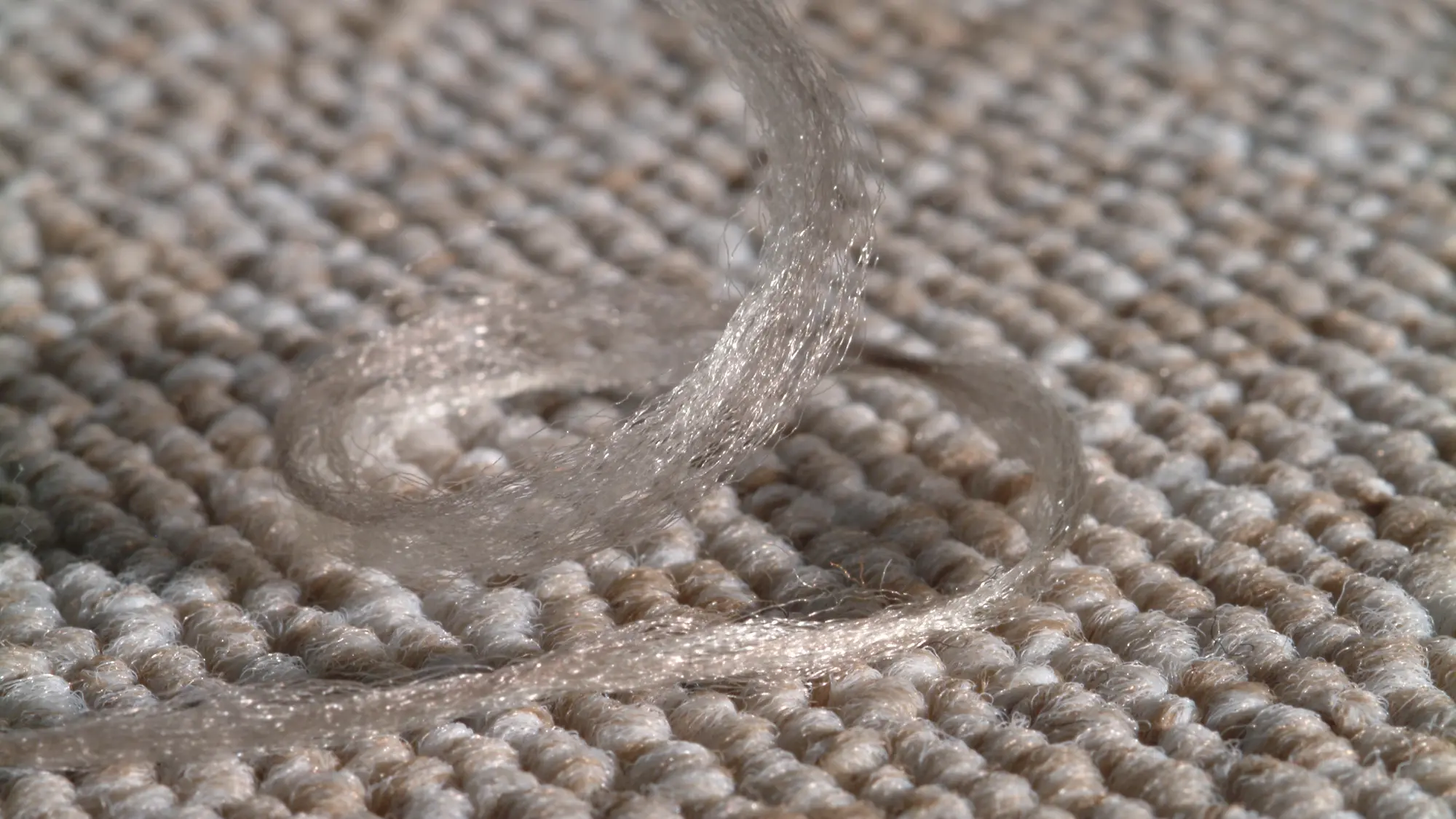 carpet