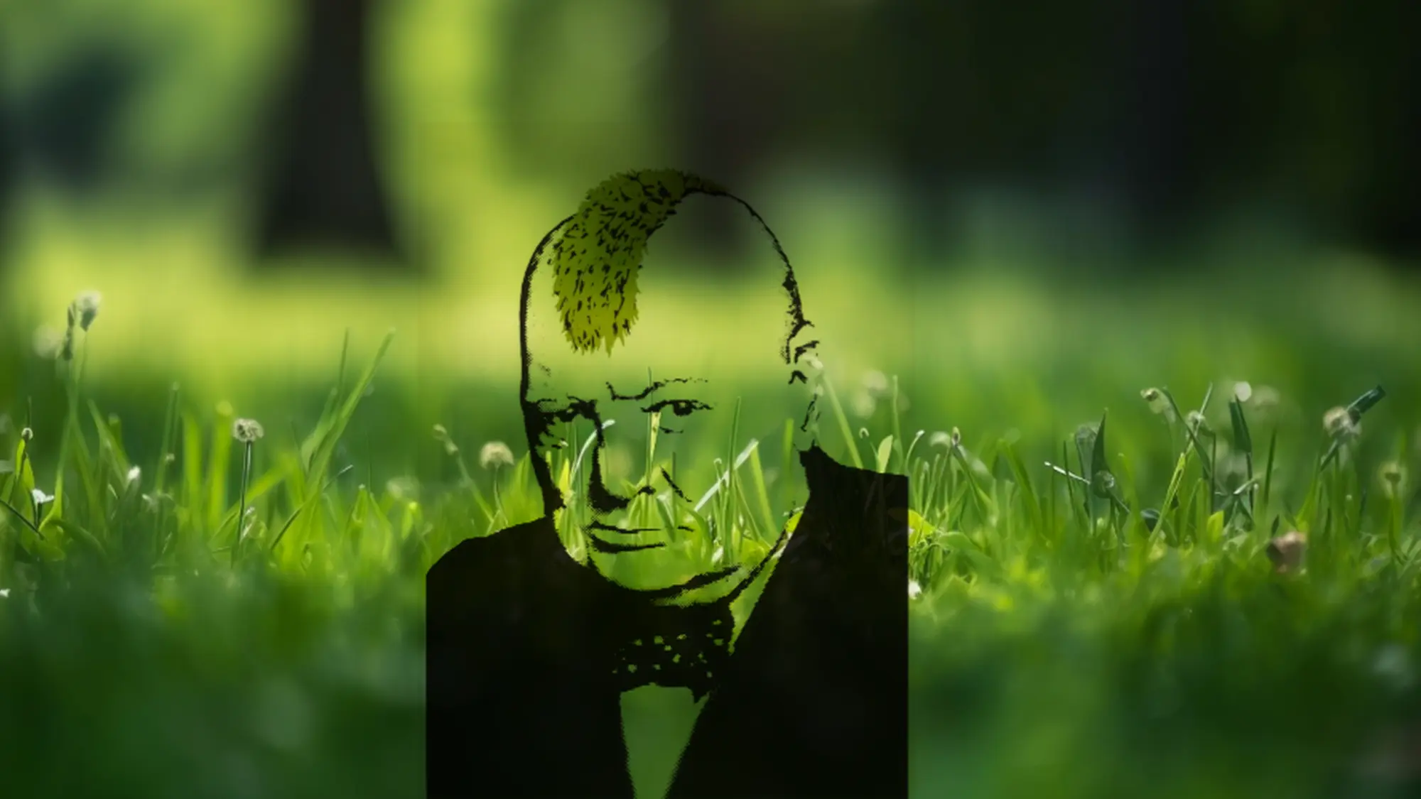 churchill grass
