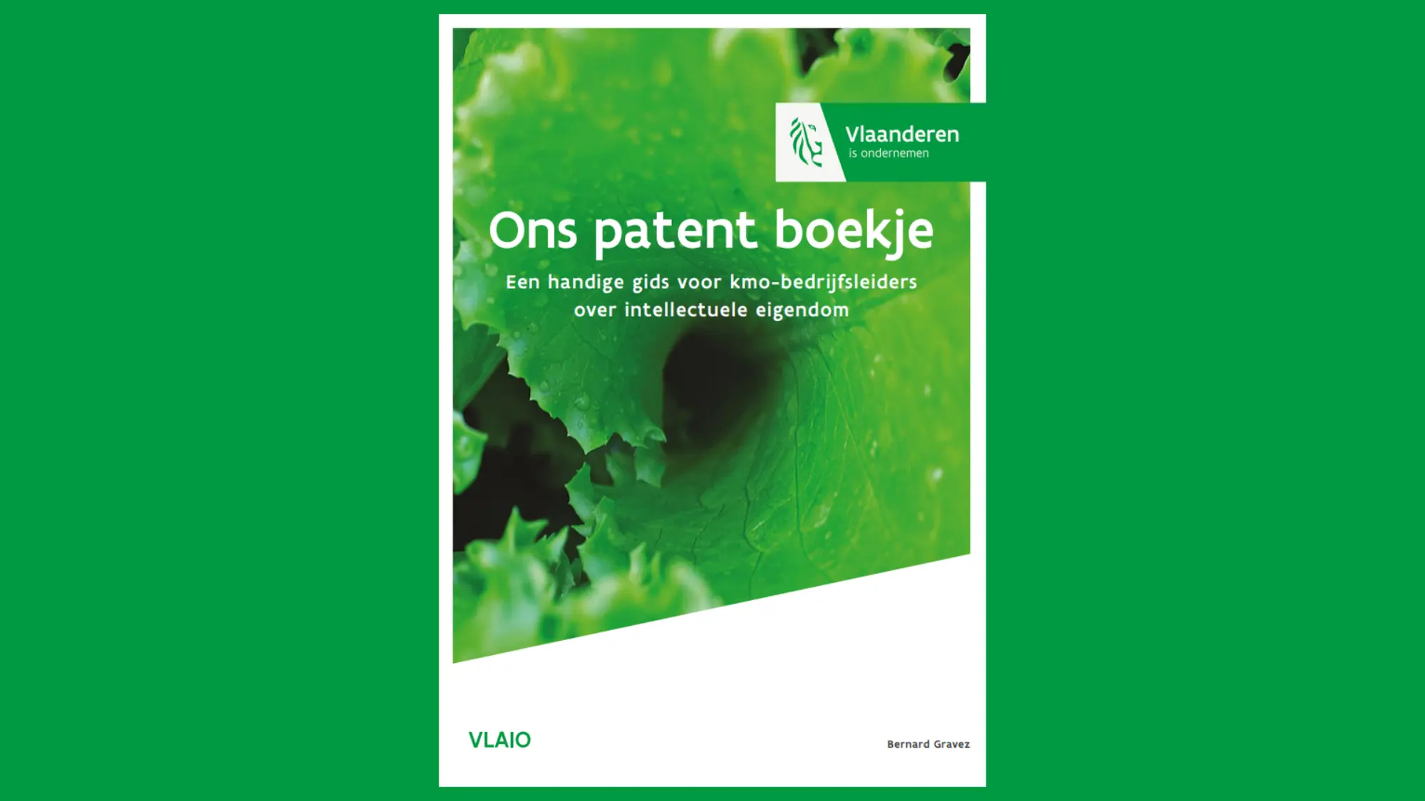 vlaio pantentboekje