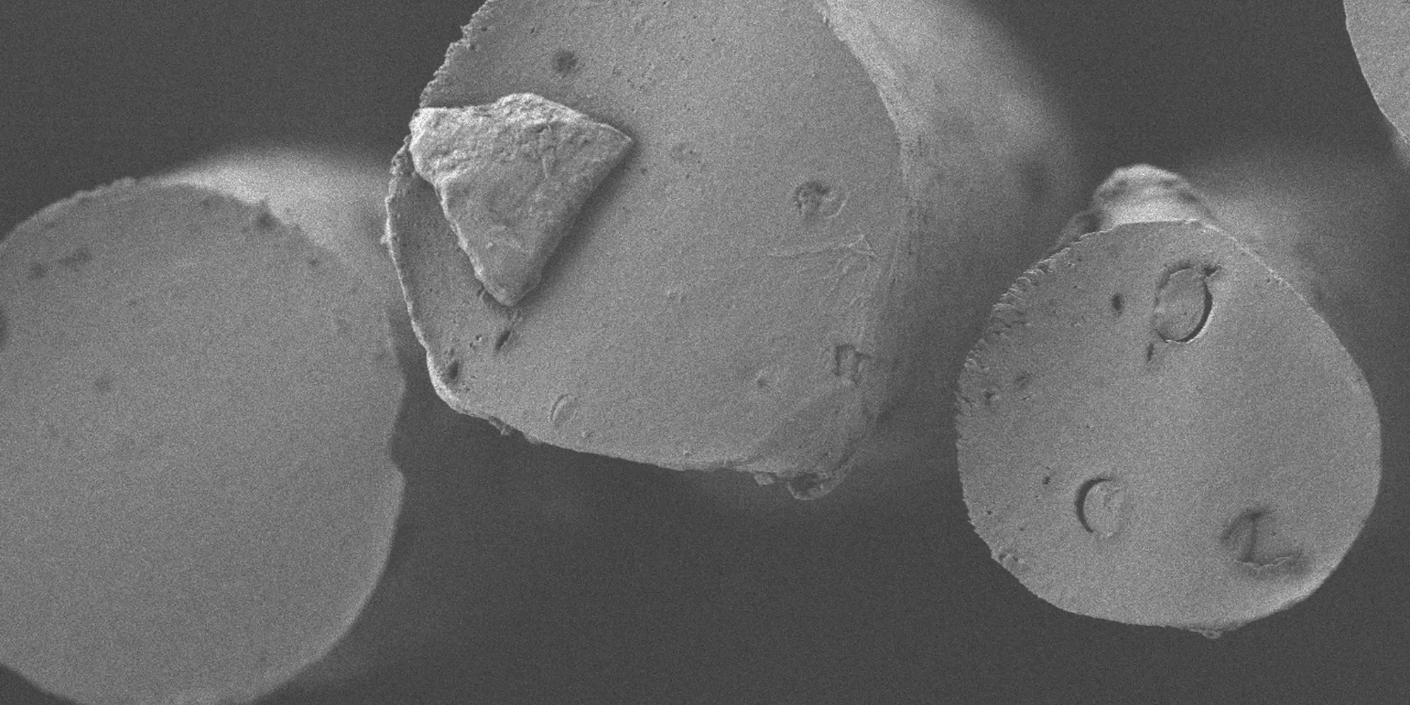 lignine