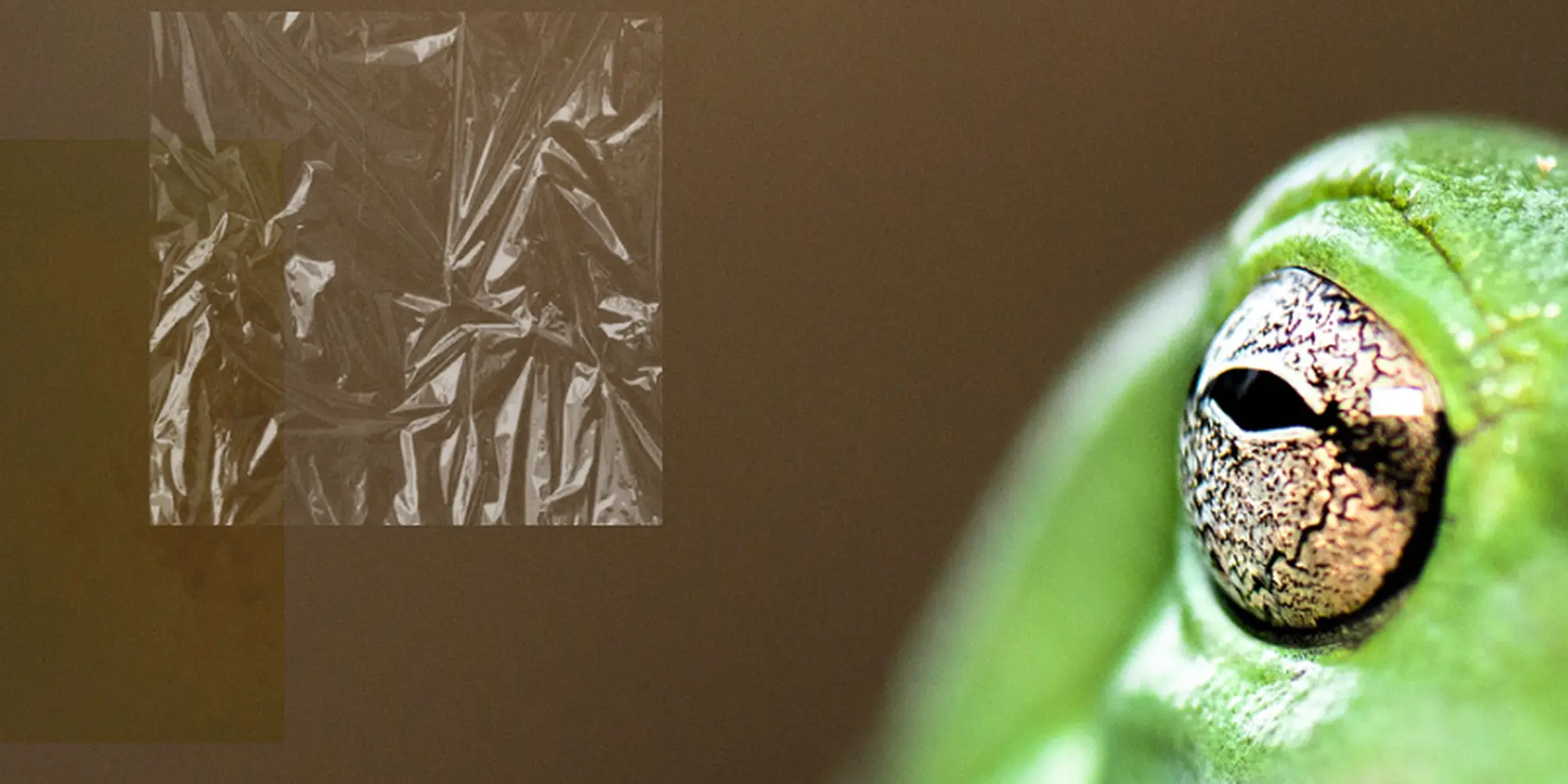 milieufacts