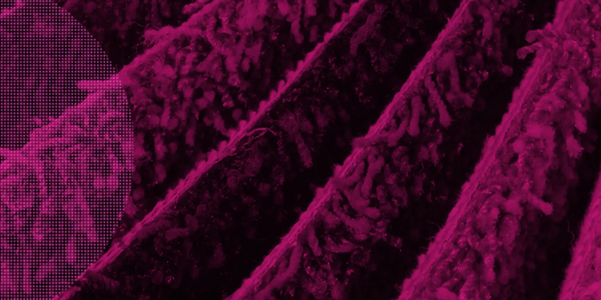 carpet banner
