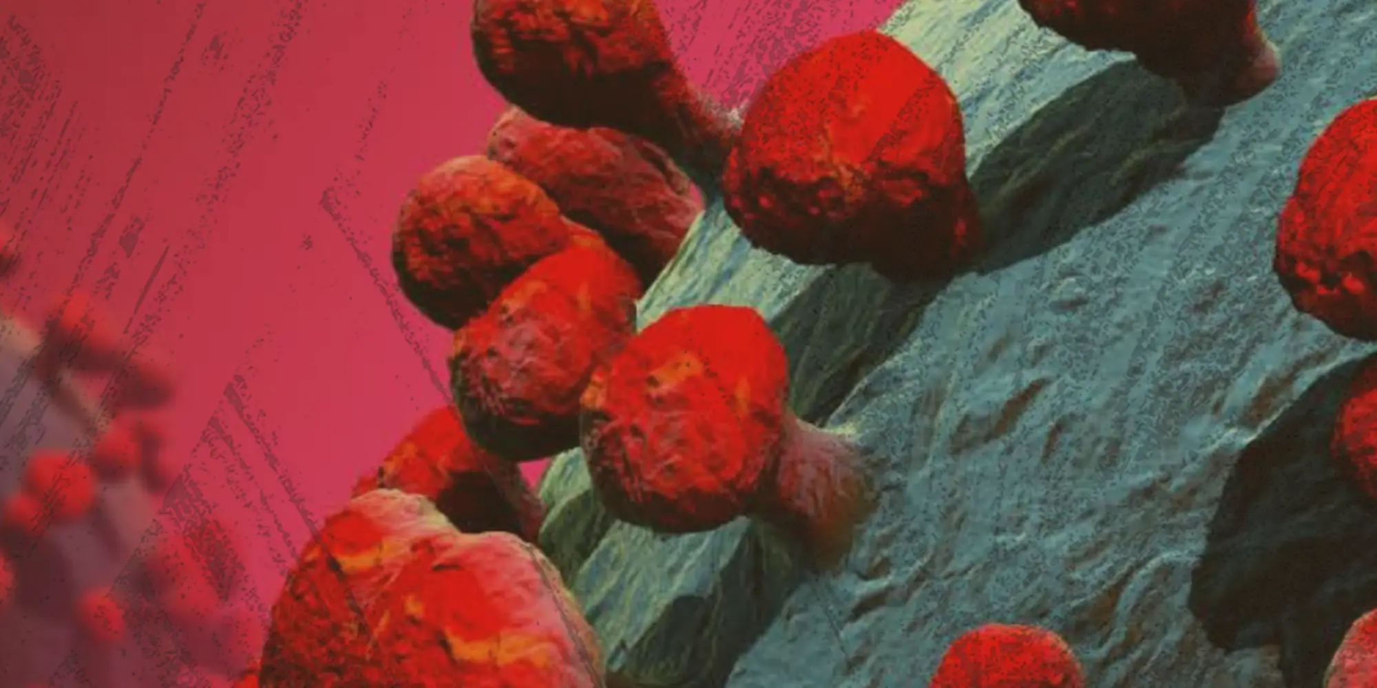 demandbanner