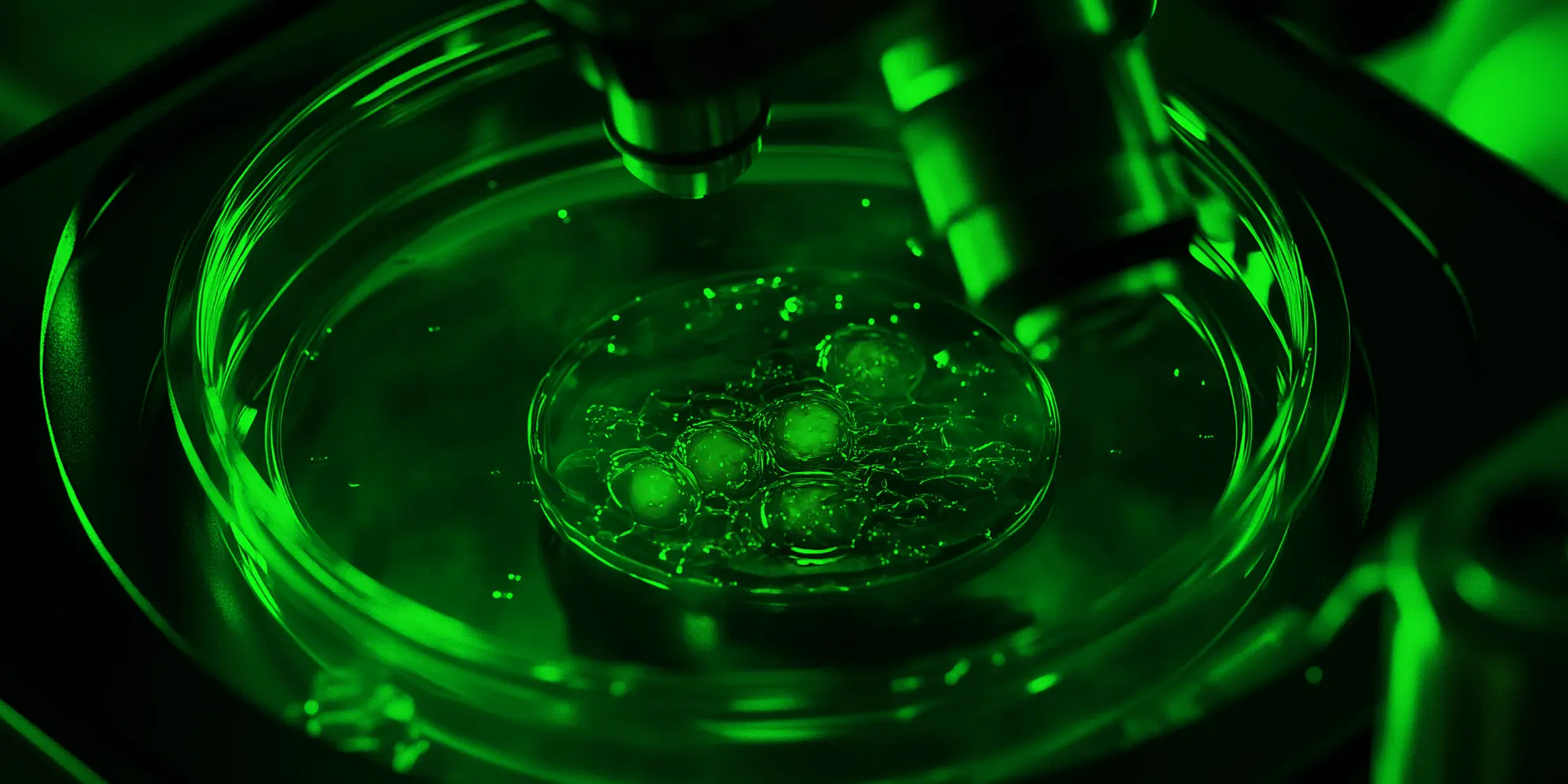 plastic under microscope