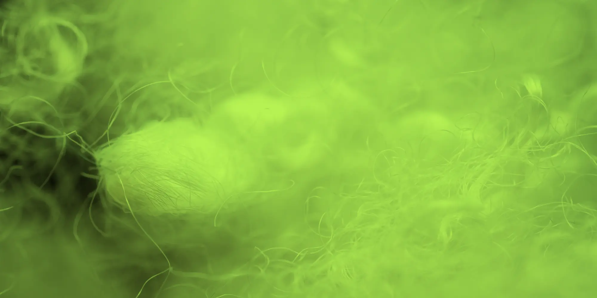 textilefibrerecycle