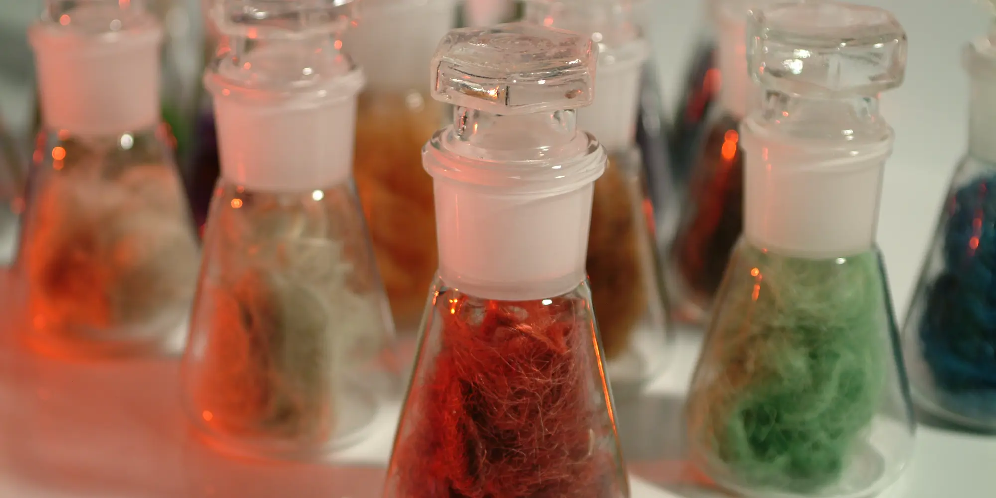 fibresinjars