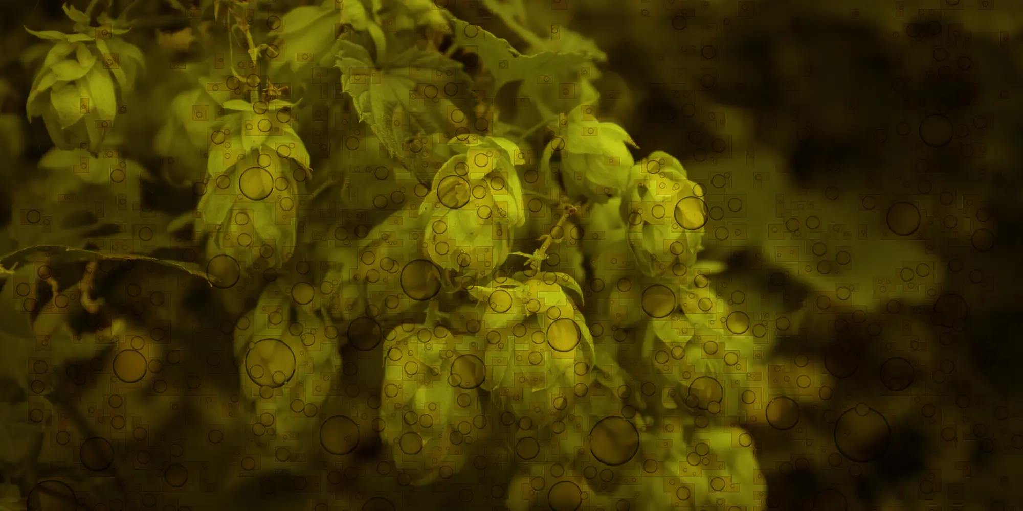 brewery products
