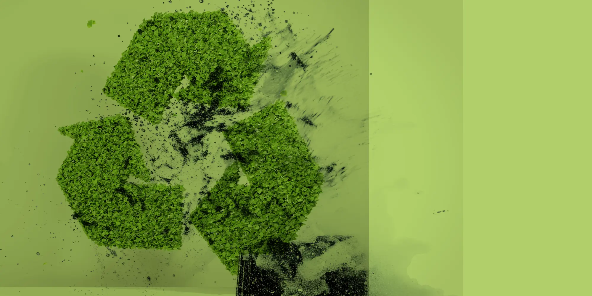 remove2recycle