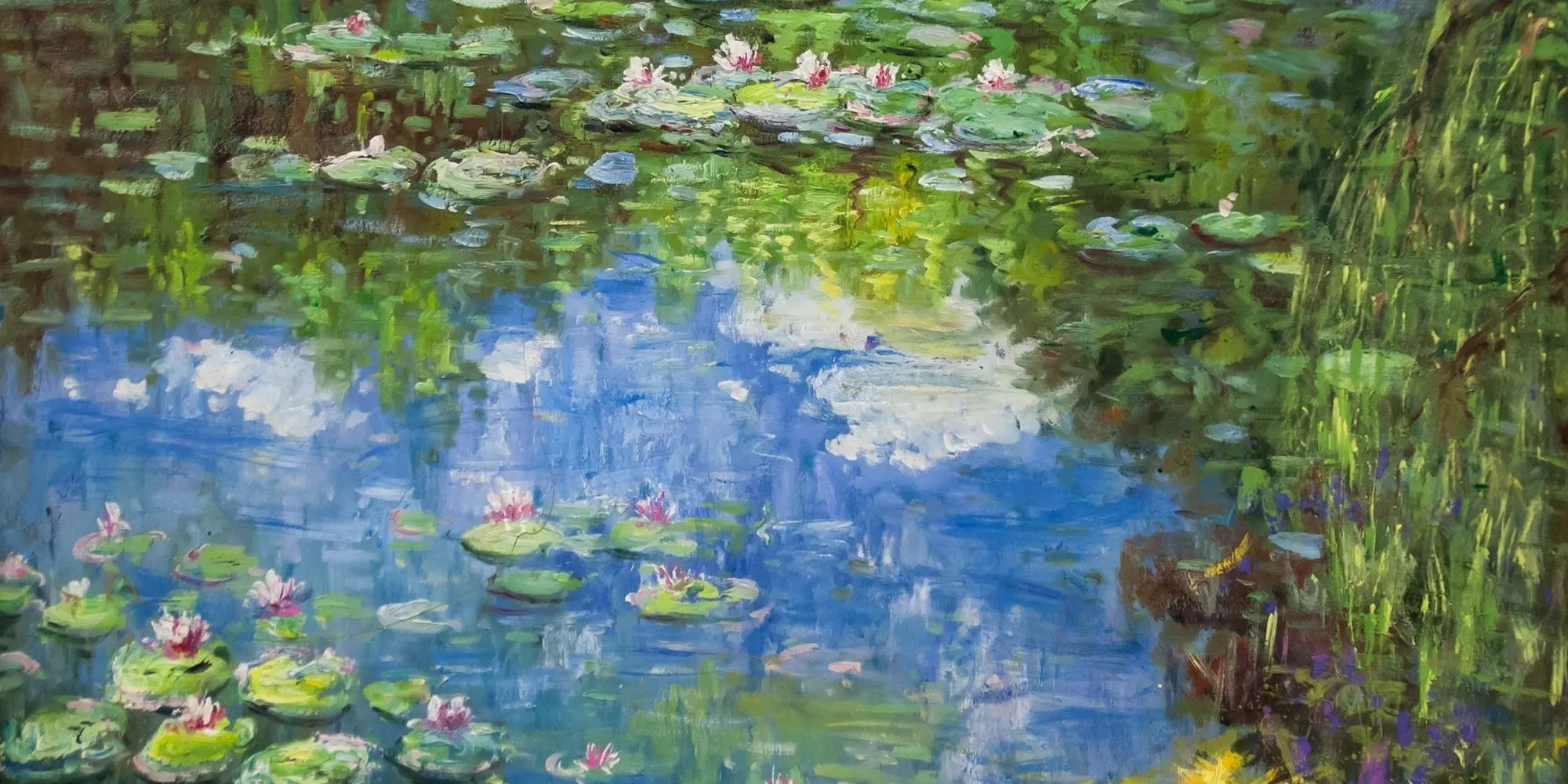 waterlelies