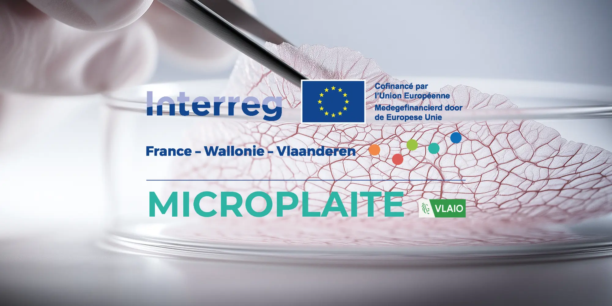 microplaite-logobanner