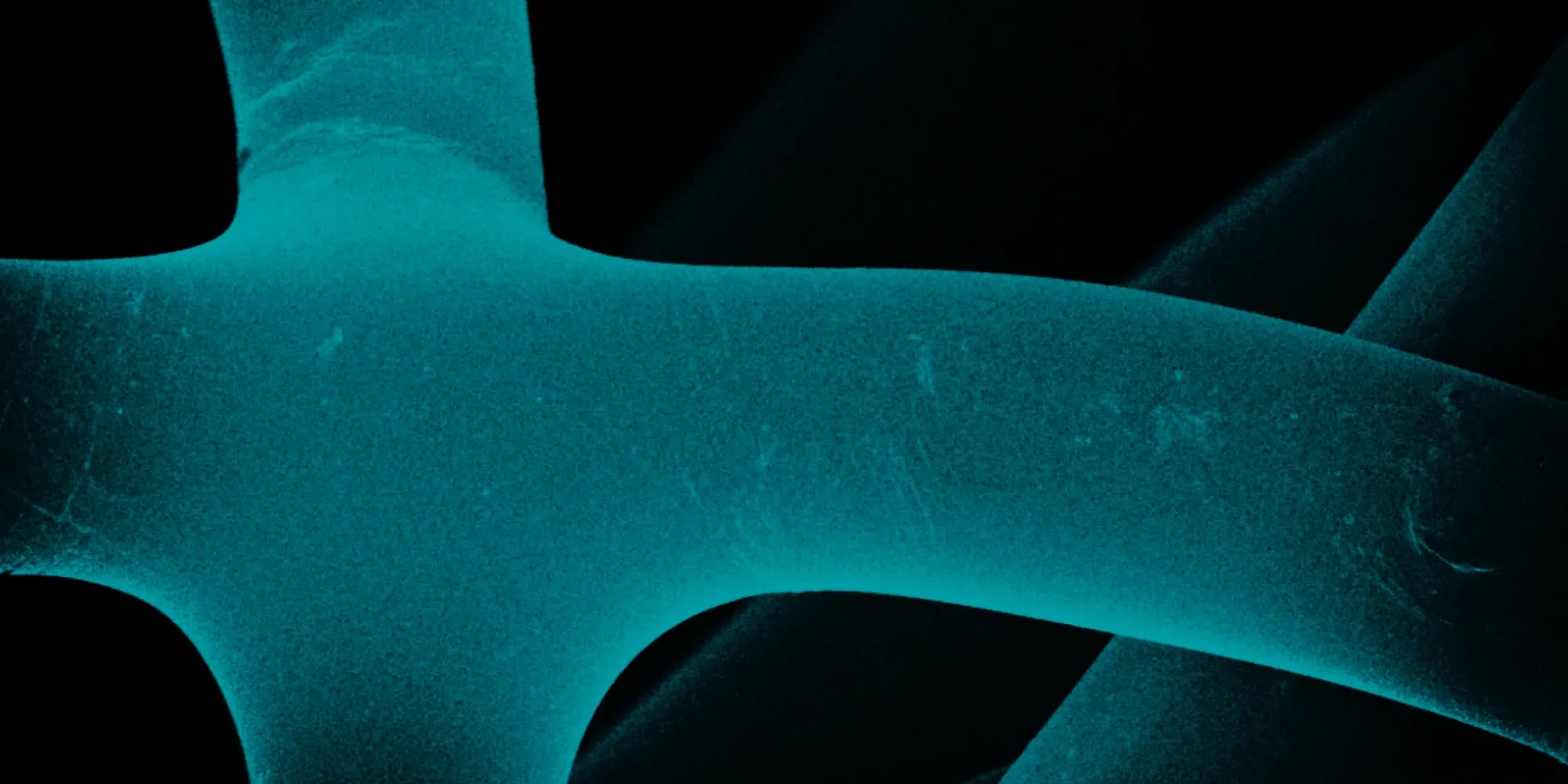 sem teaser