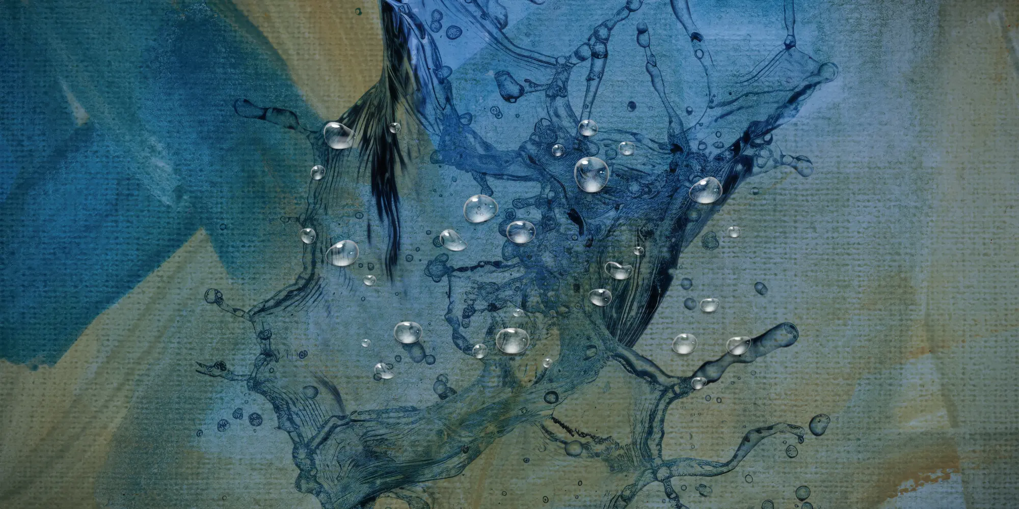 2025-waterdag