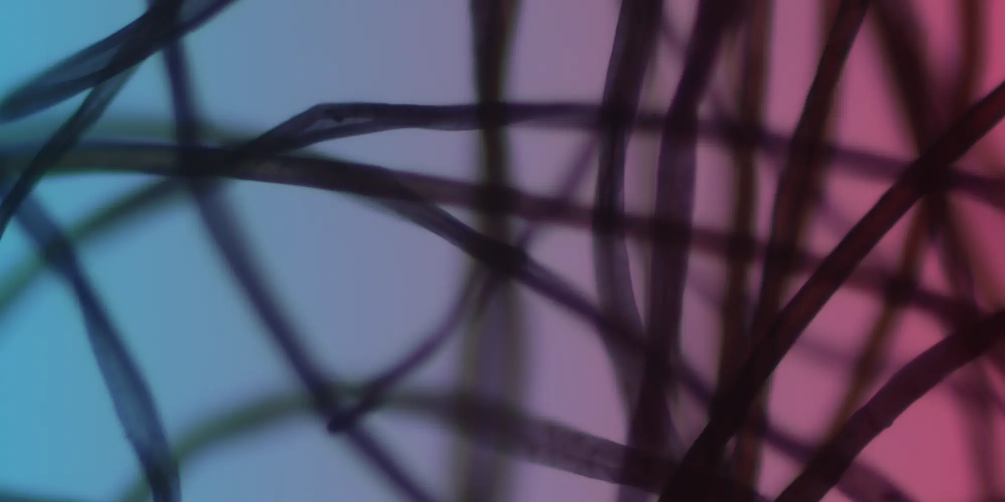 fibre identification