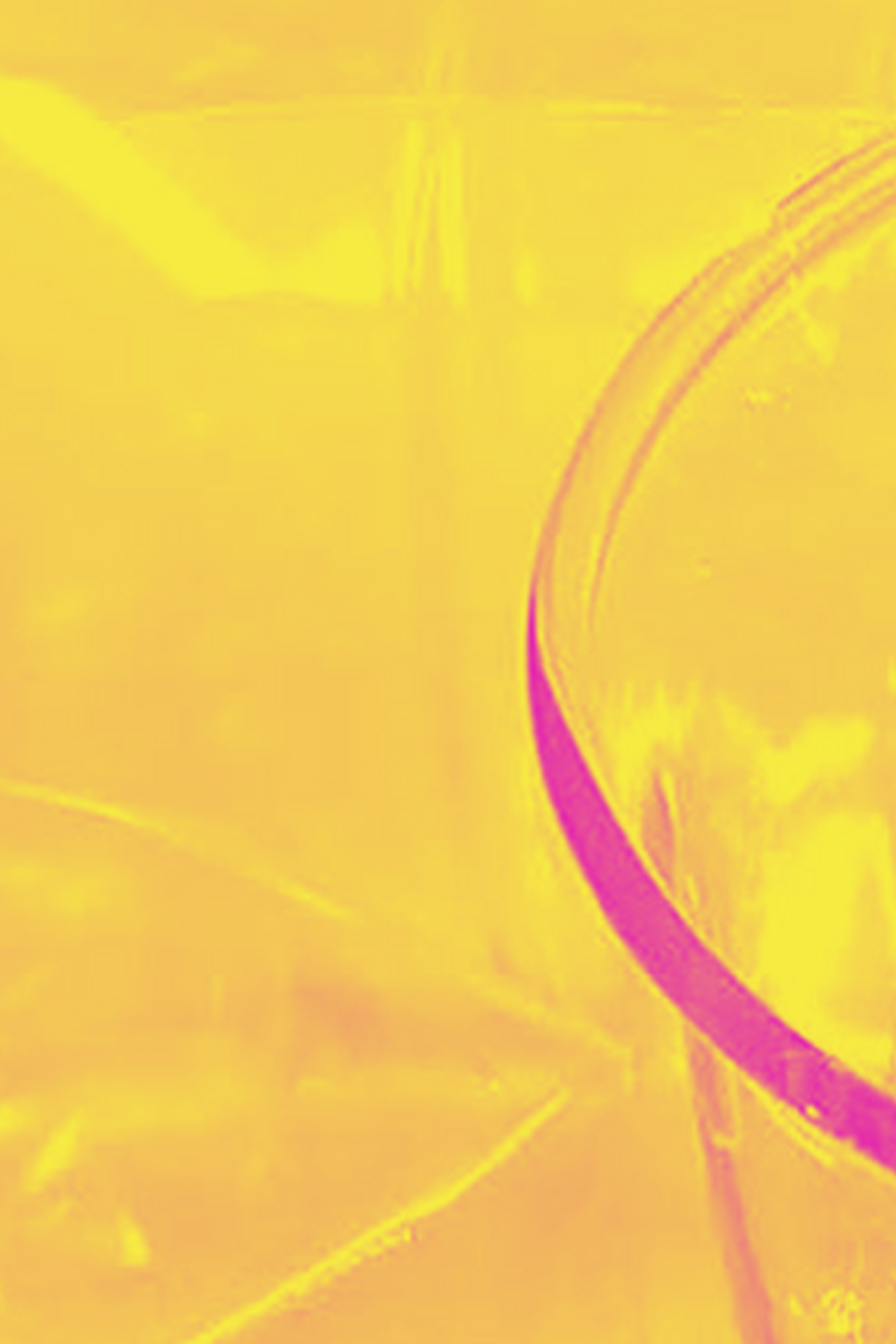 scbanner