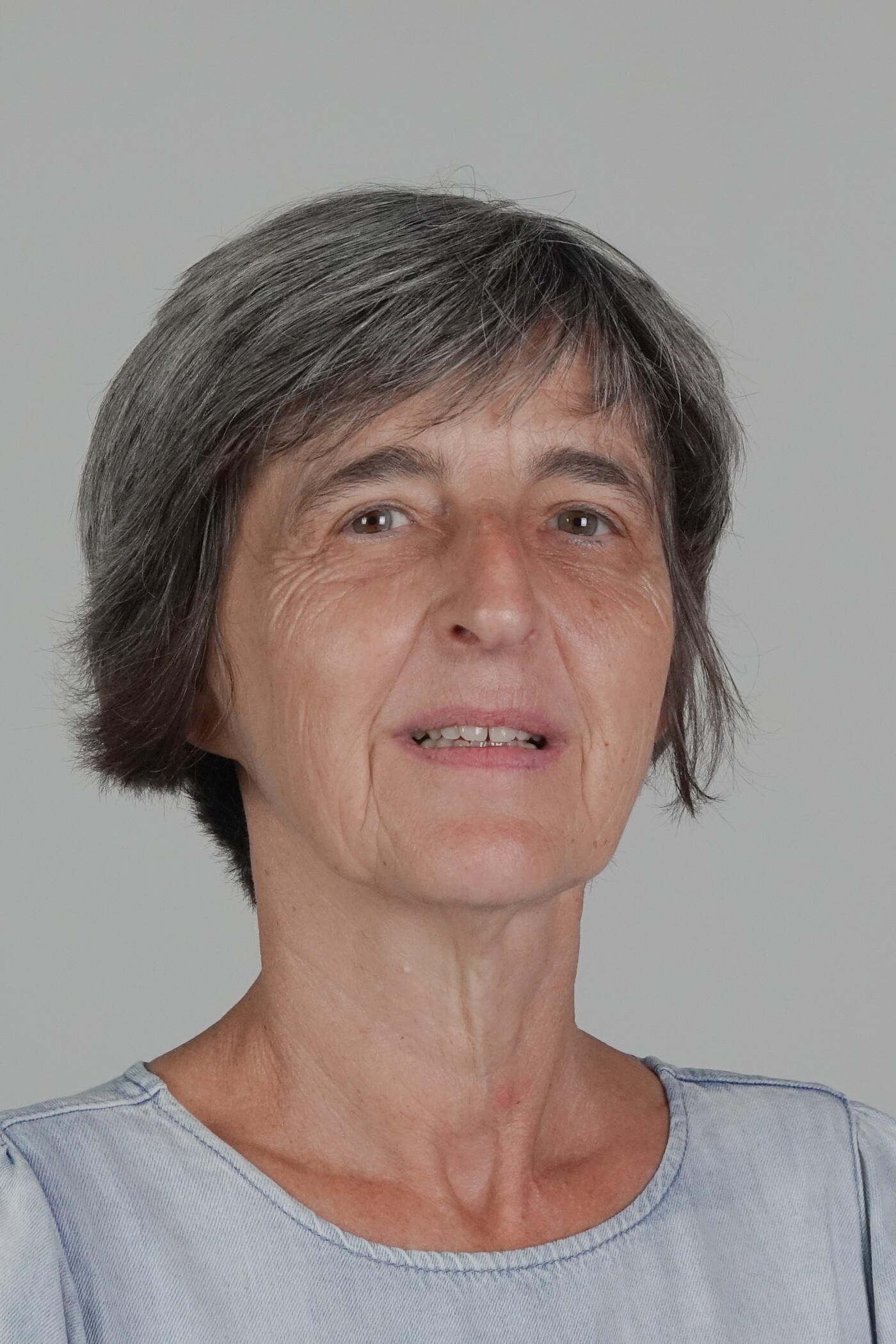 Ann Saegerman