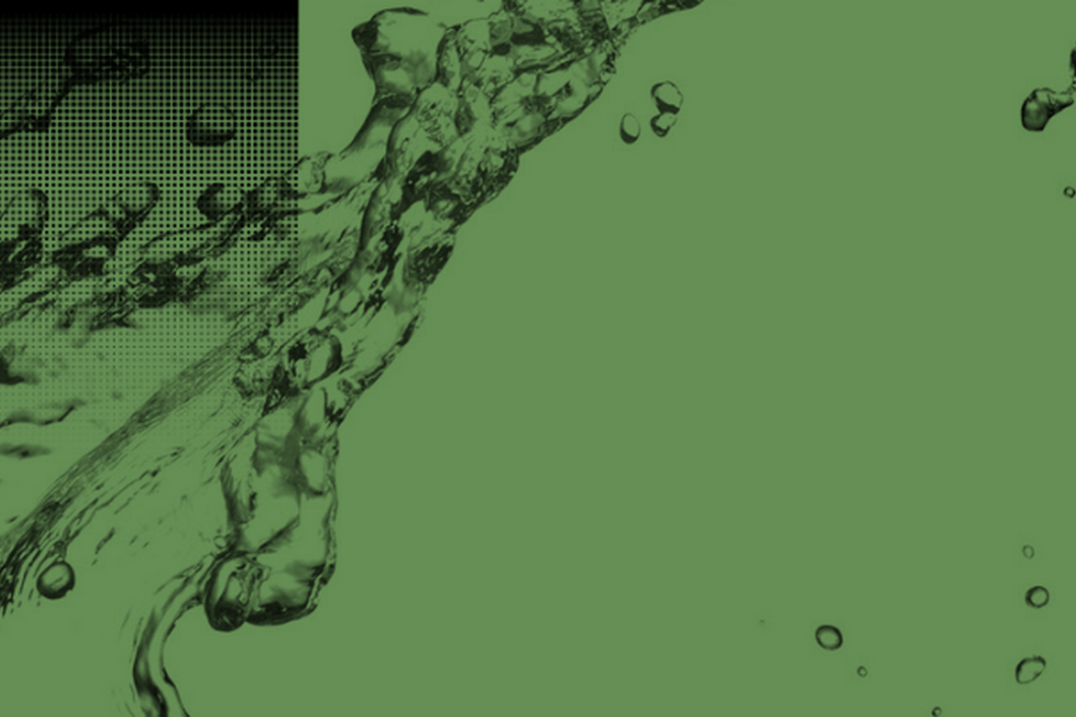 greenwashing banner 