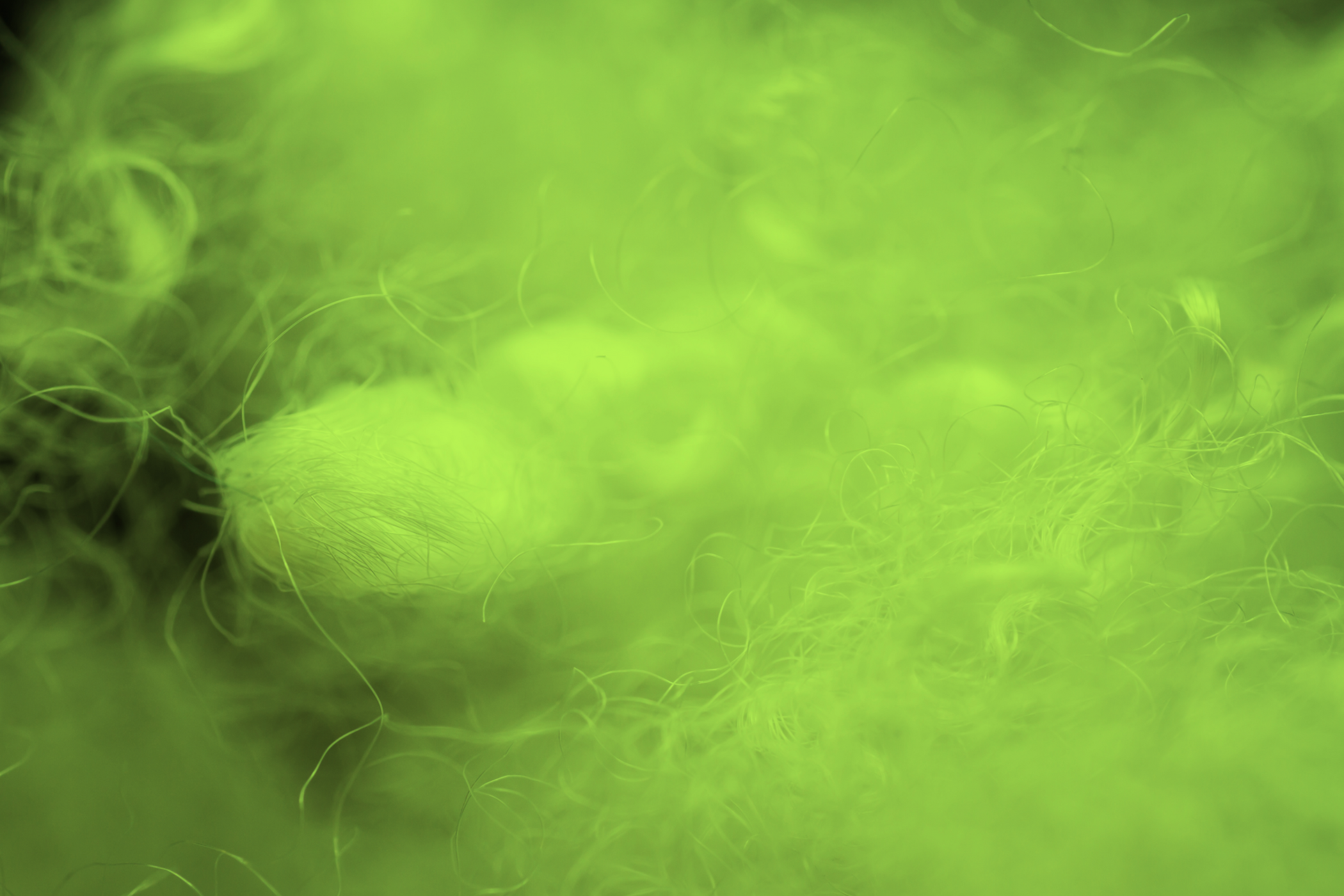 textilefibrerecycle