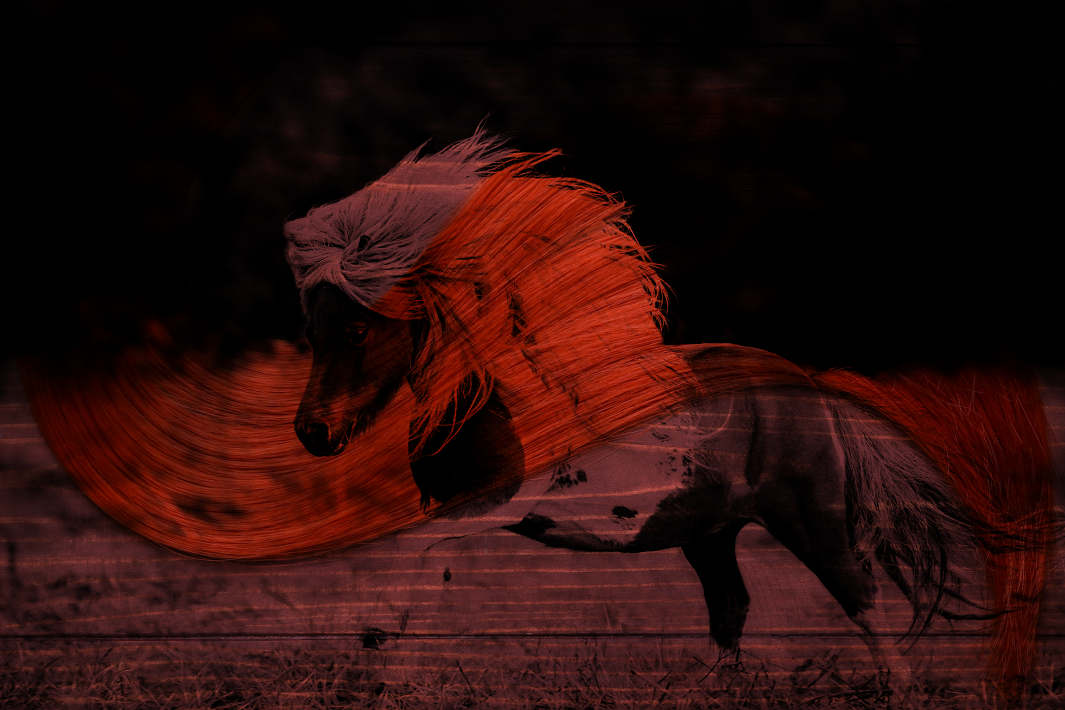 my little pony