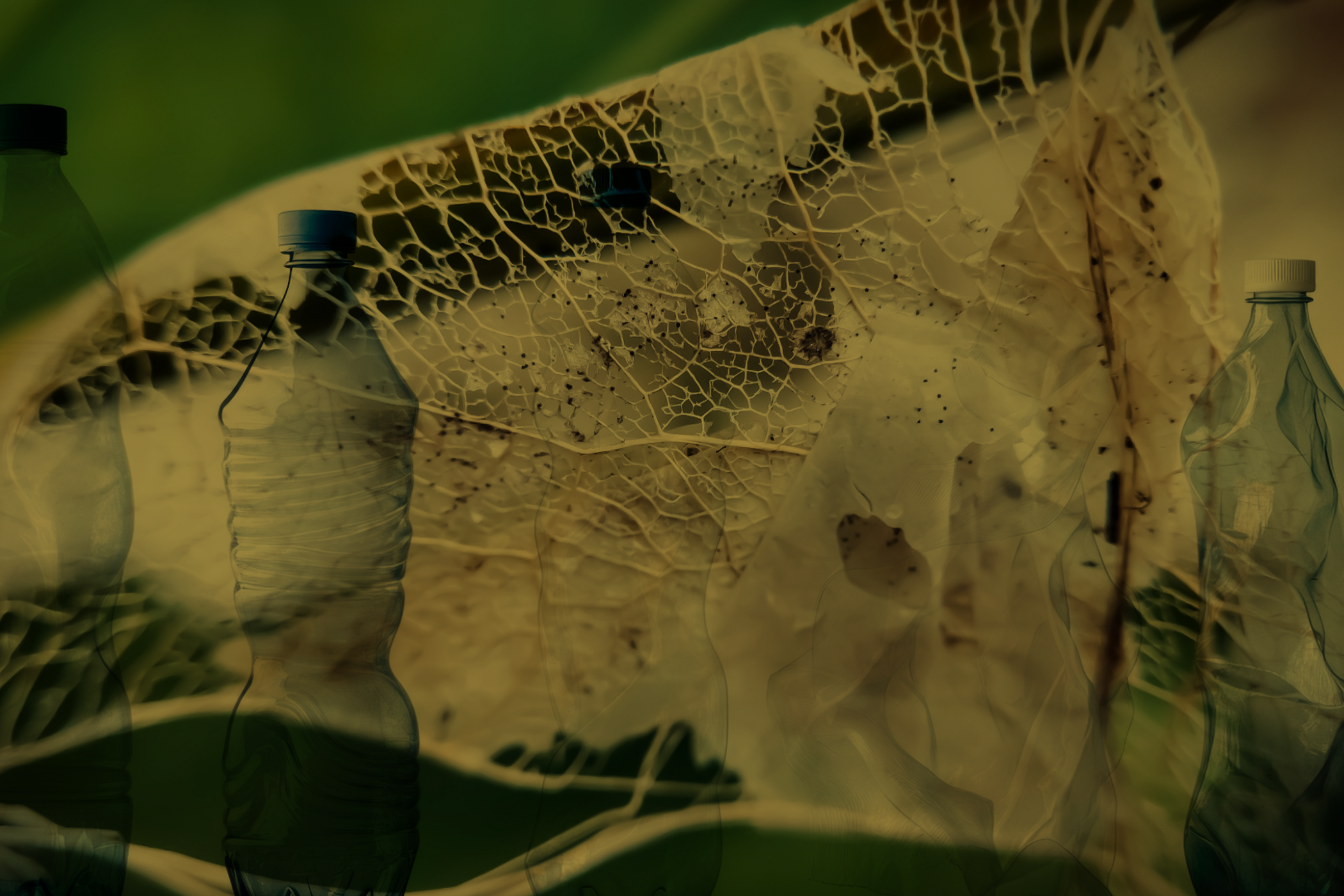 plastics degradation