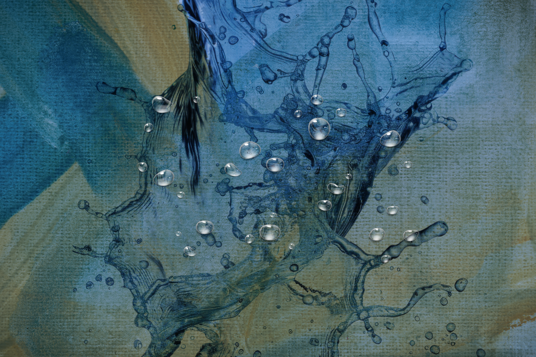 2025-waterdag