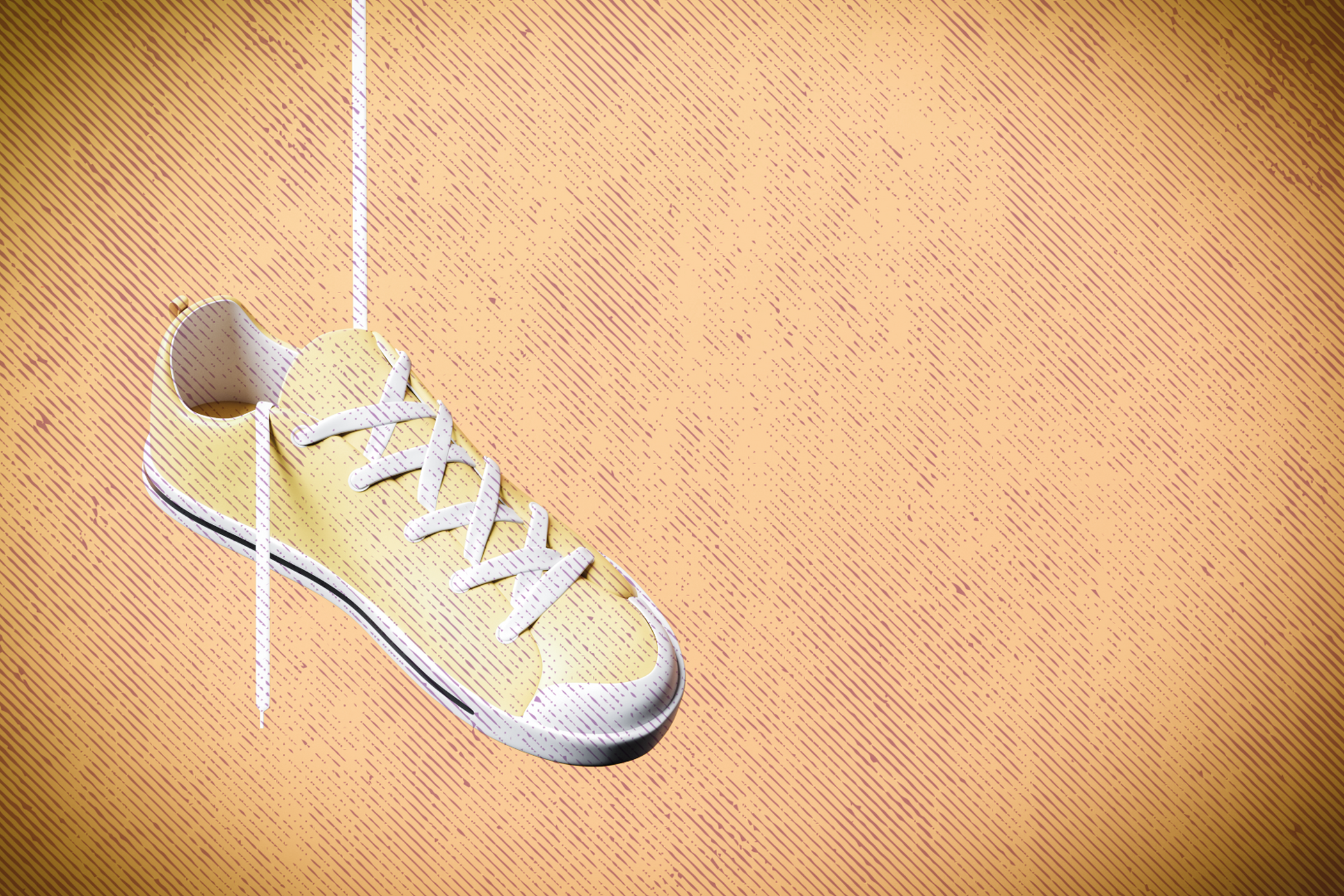 shoelace