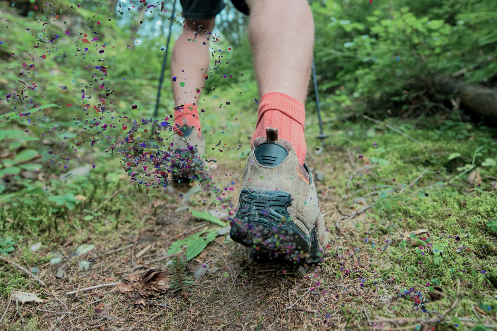 hiking shoes