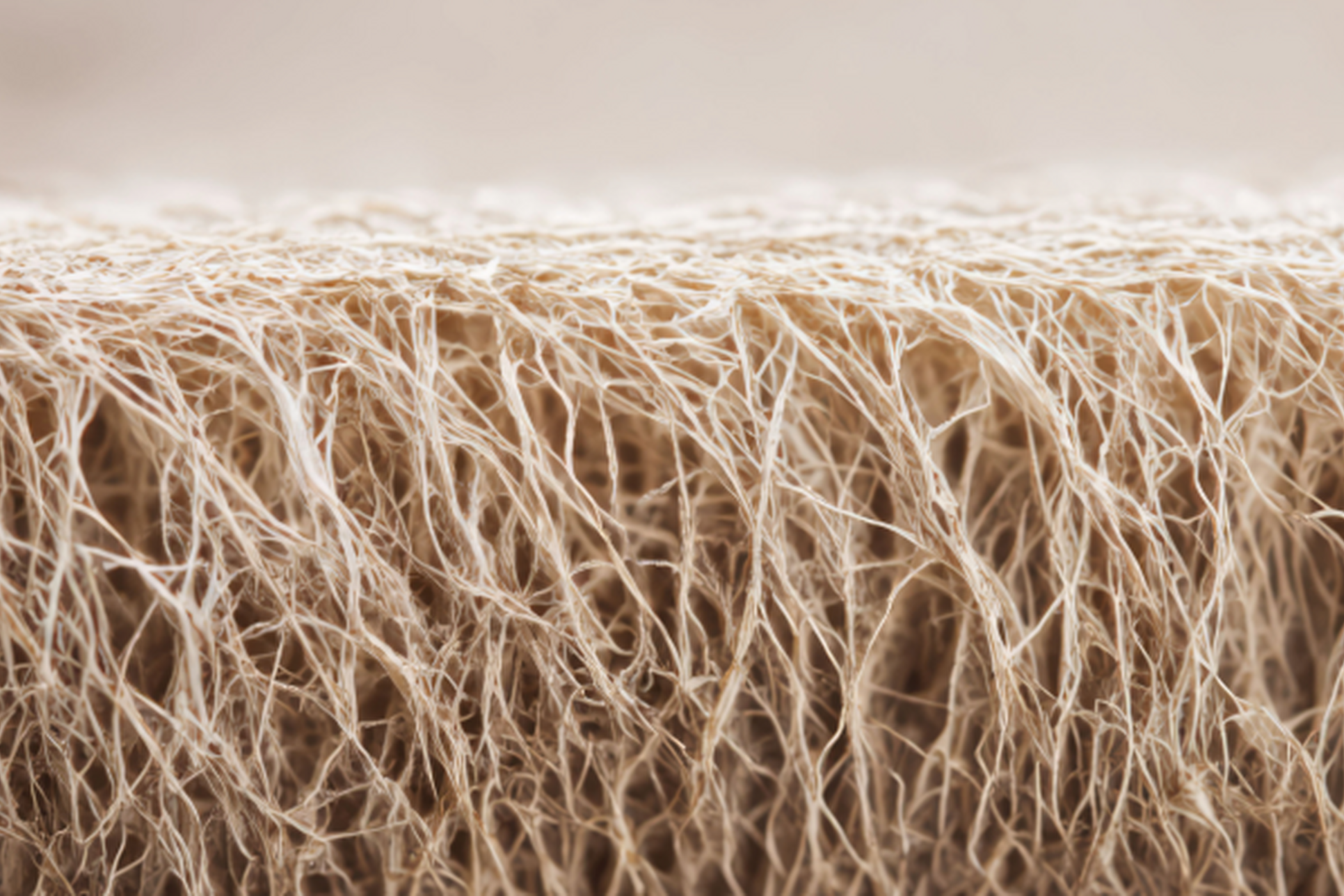 Banner-Mycelium-based textile material