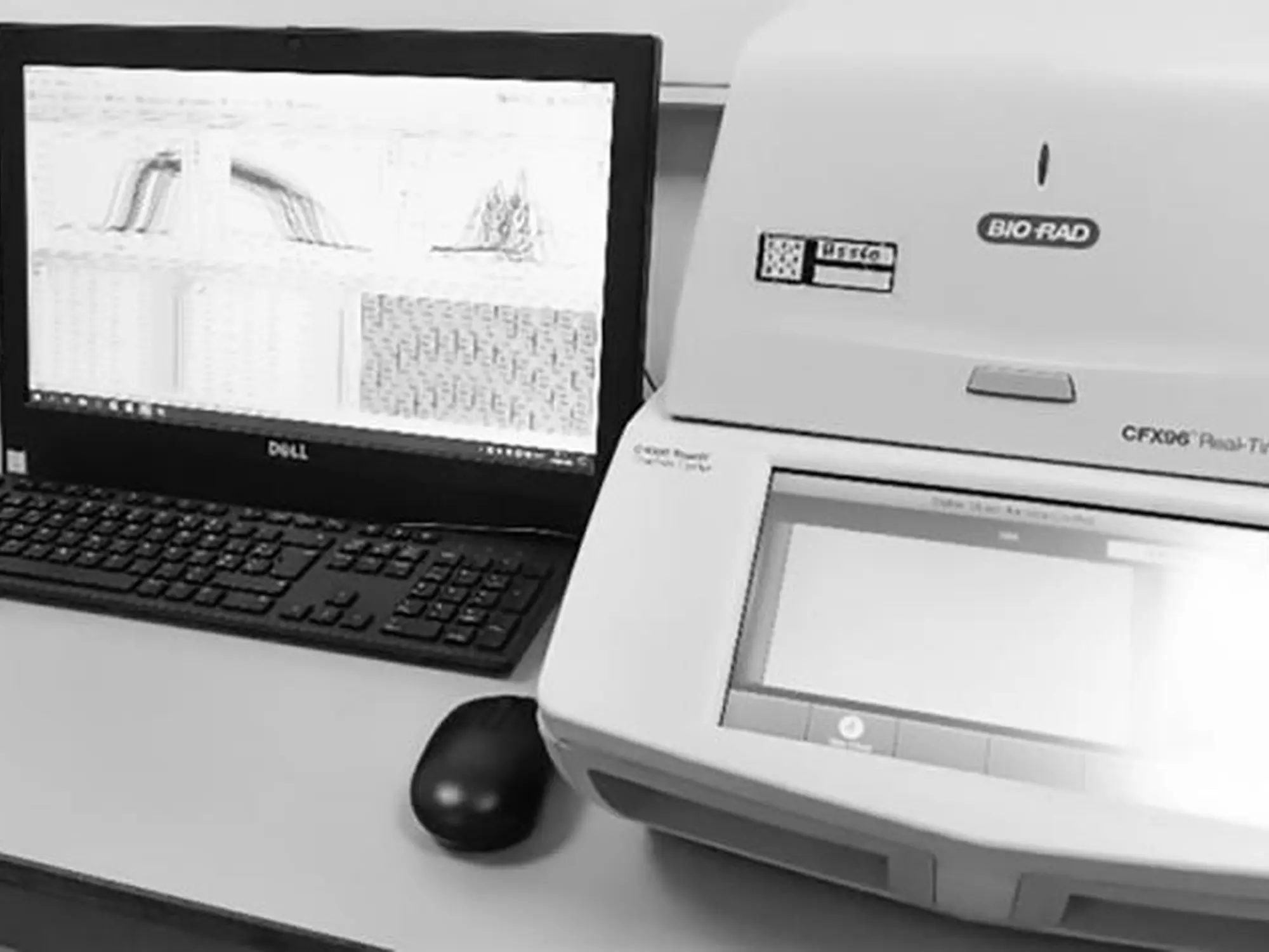 bio-rad-CFX96-opstellingGH