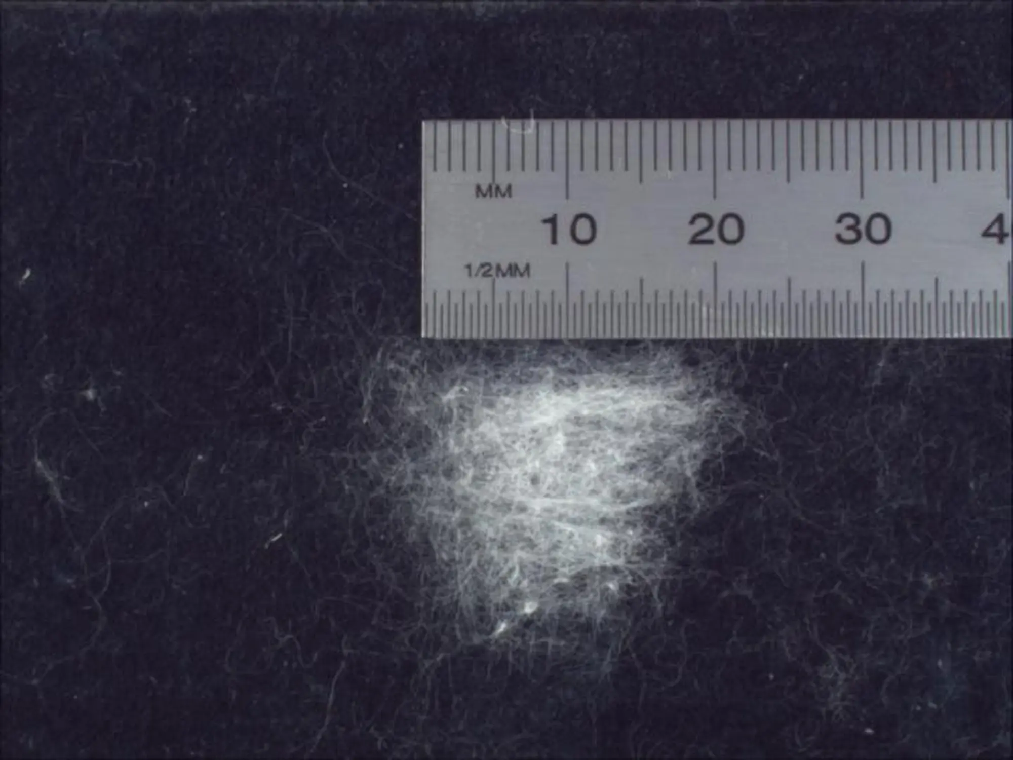 cotton-fibre-length