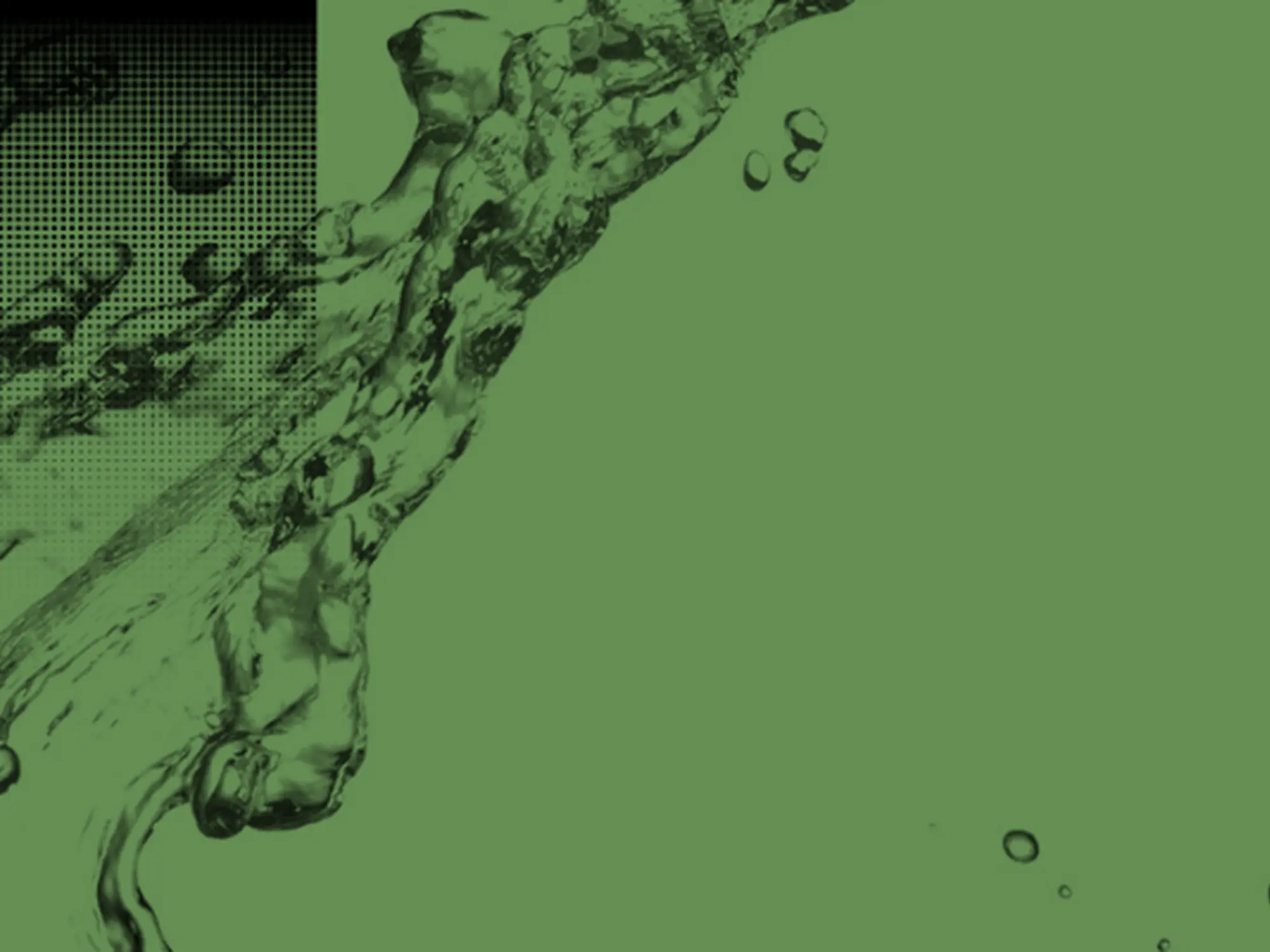 greenwashing banner 
