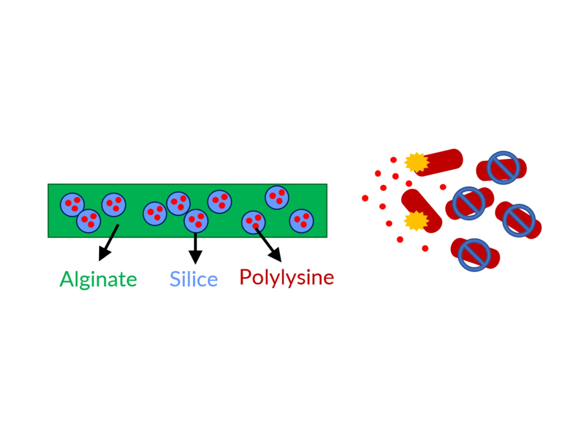 mircoecotex scheme