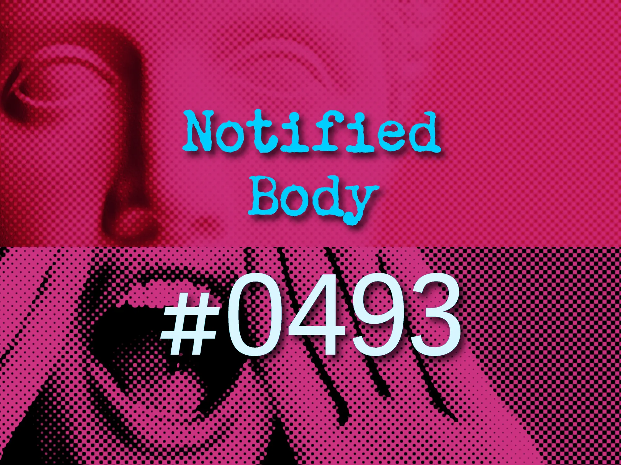 Notified body 0493