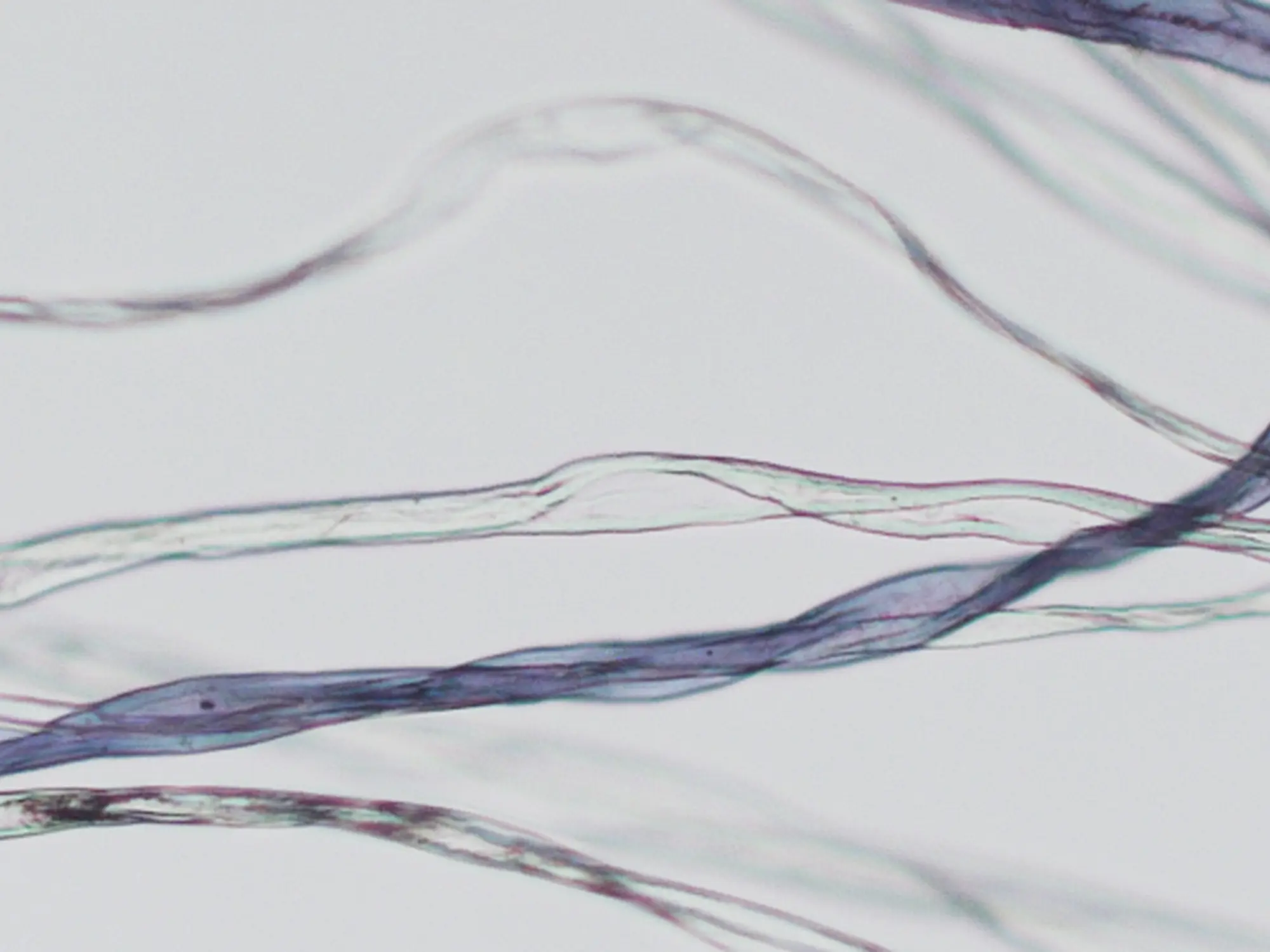 recycled-fibre1