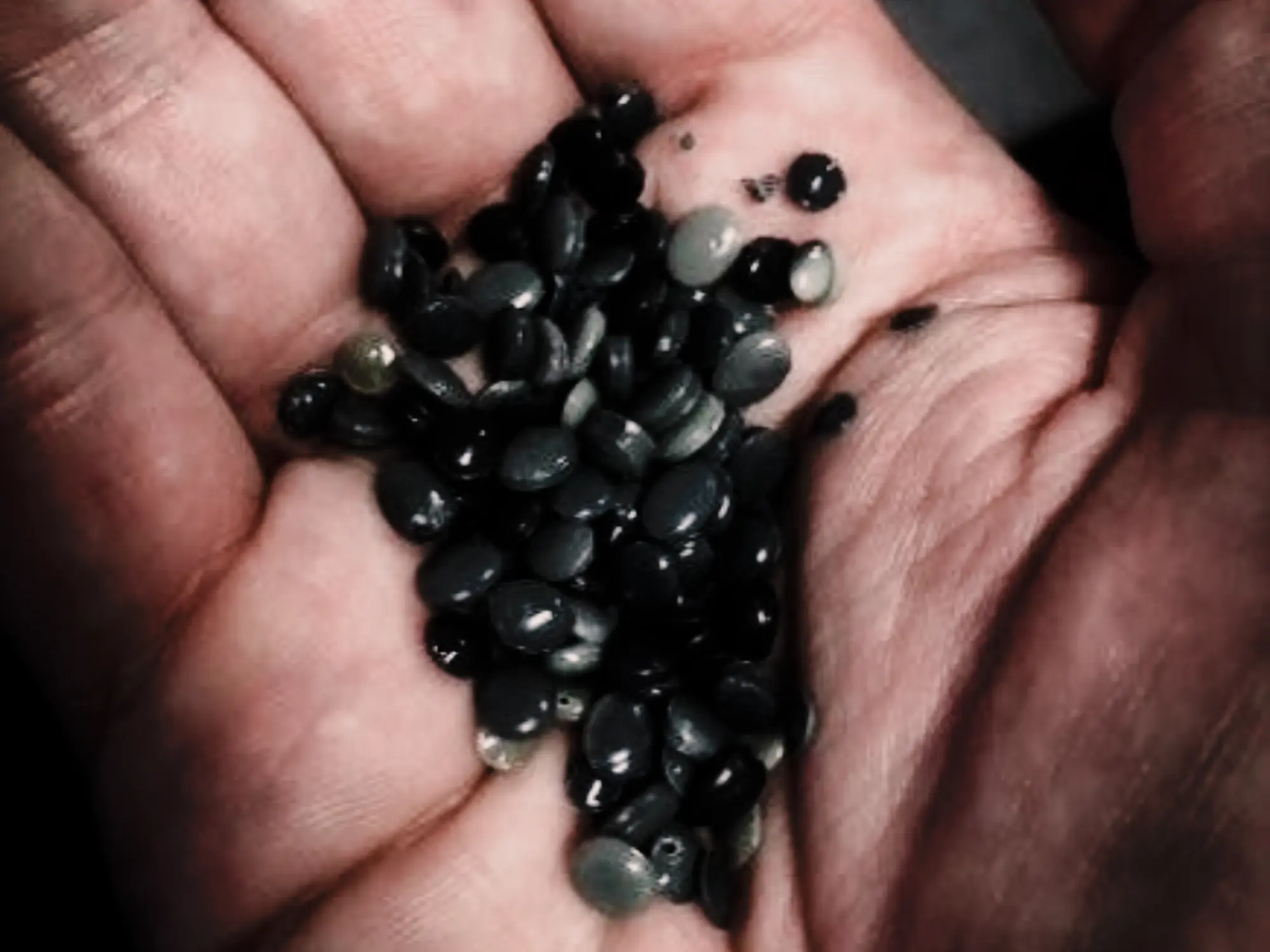 recycled plastics