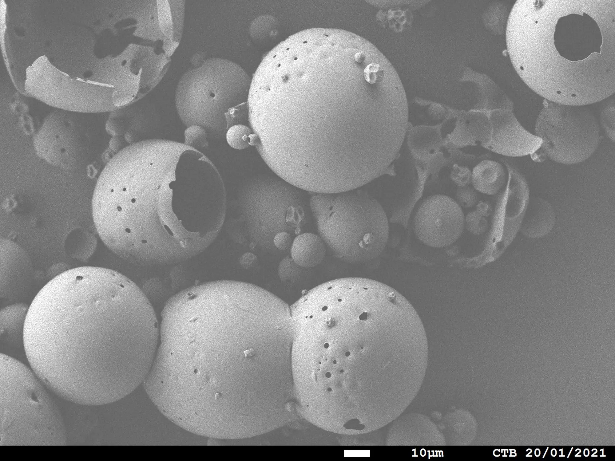Humic acid SEM