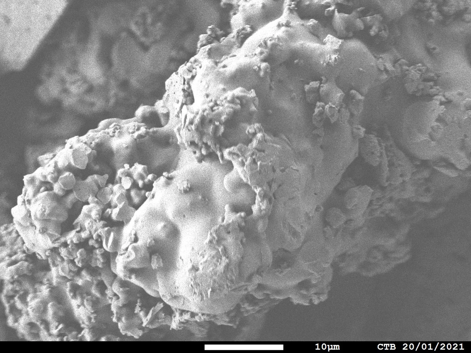 lignin sem