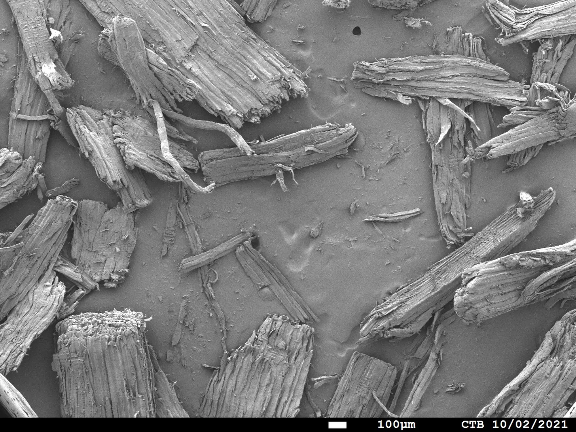 wood dust