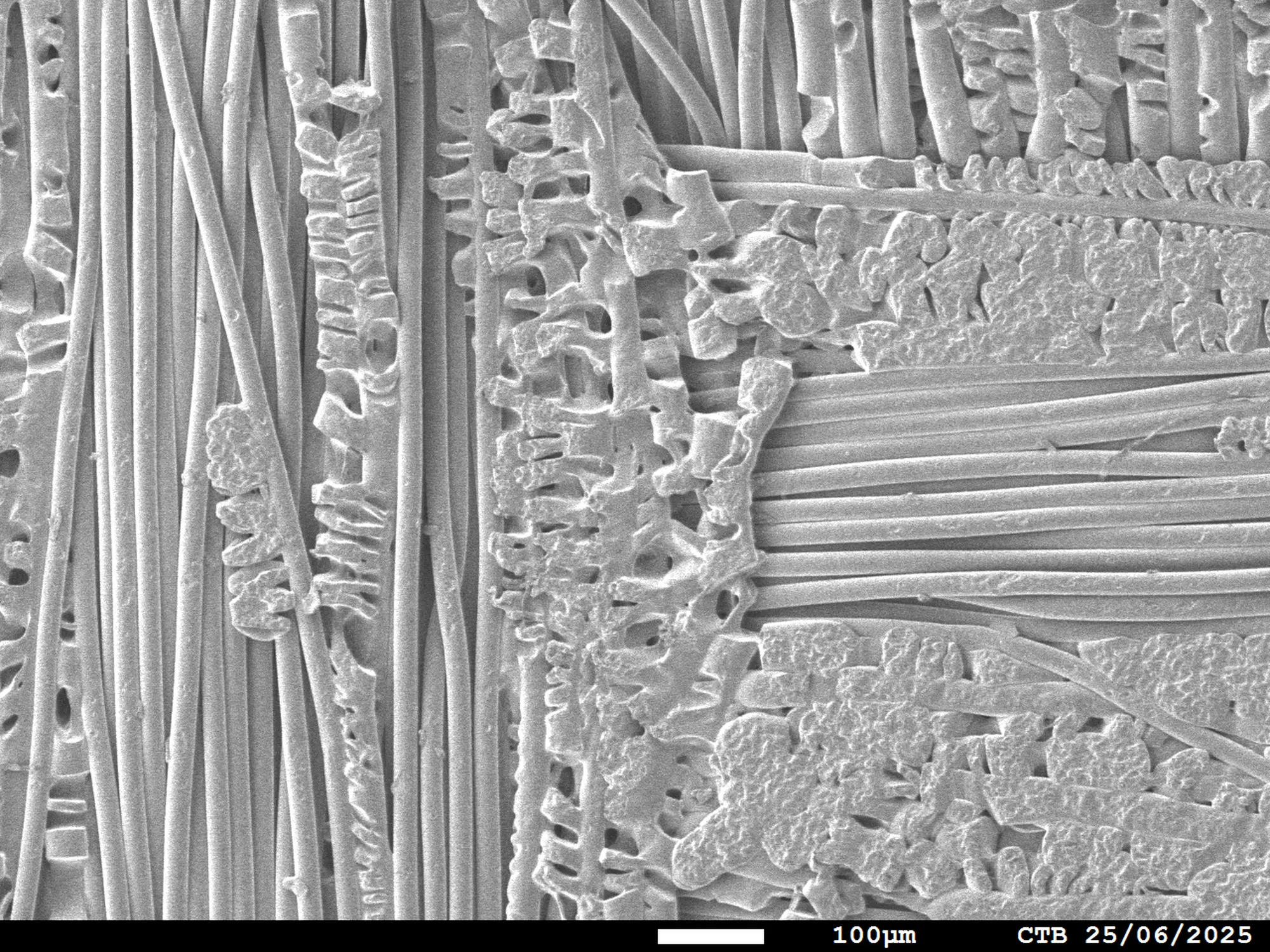 Suink surface SEM june 2025