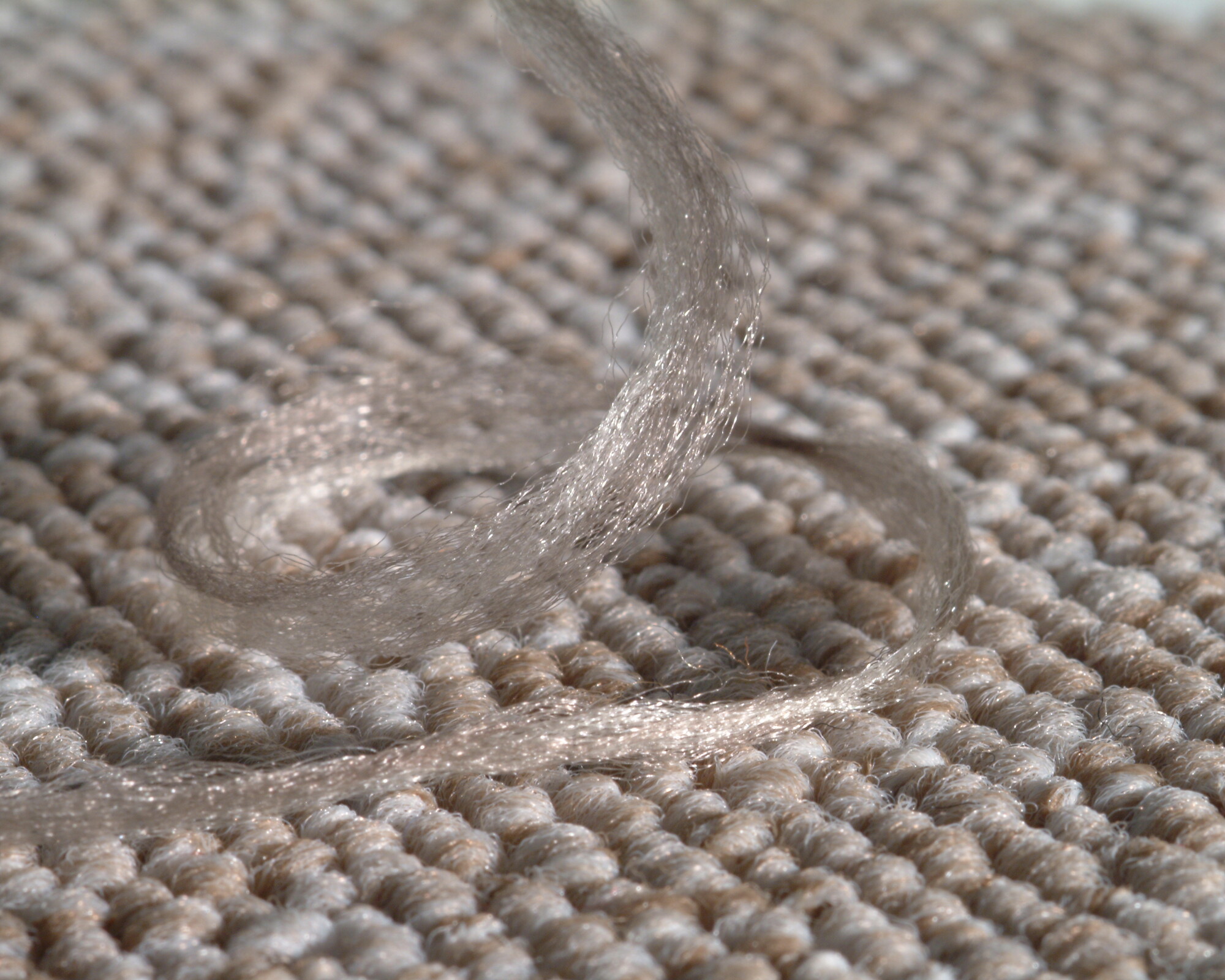 carpet