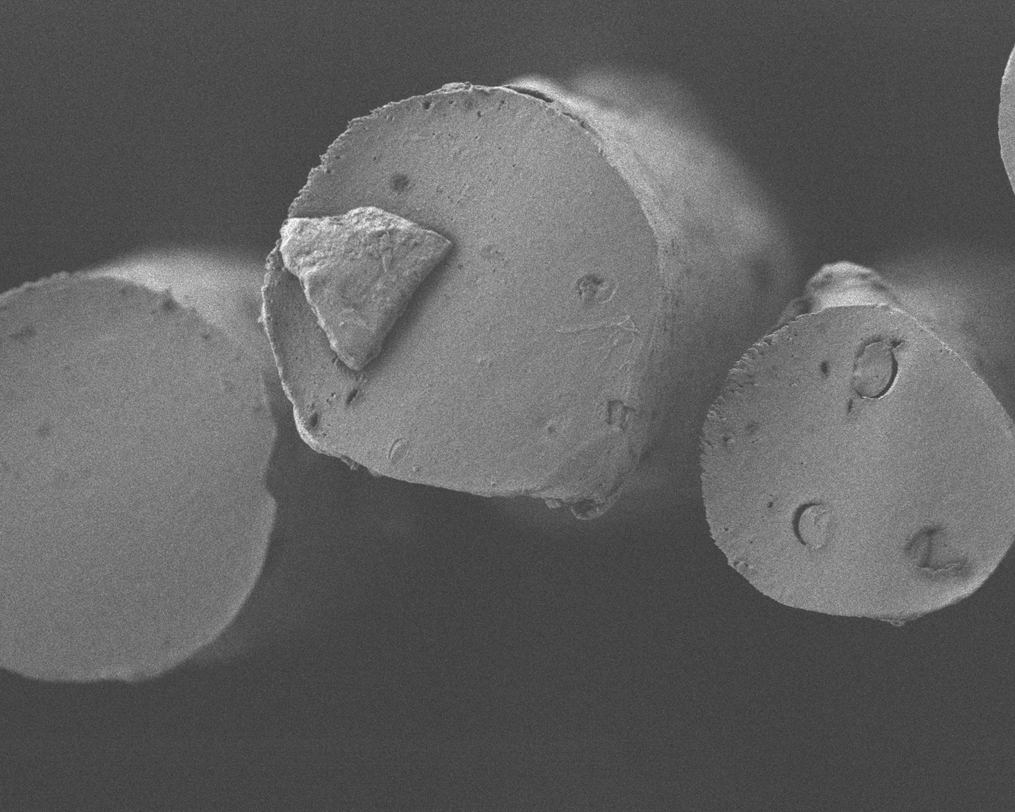 lignine