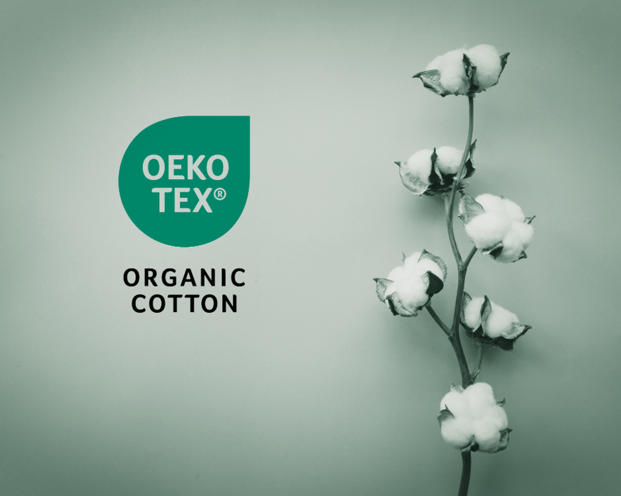 organic cotton