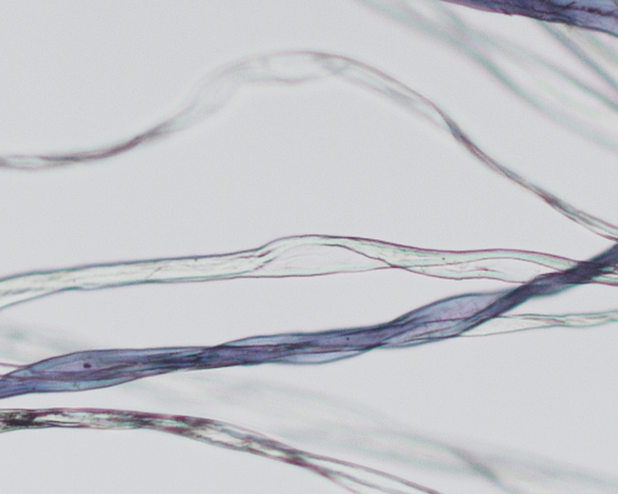 recycled-fibre1