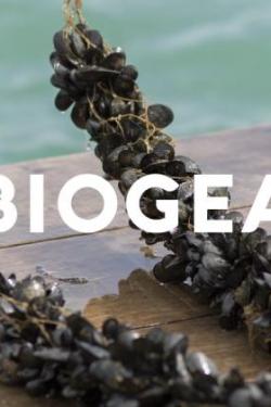 biogears logo on mussel rope