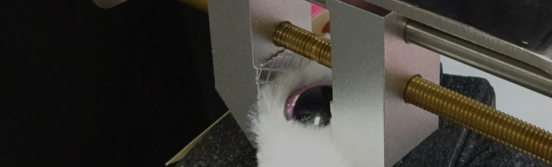 toys torque test