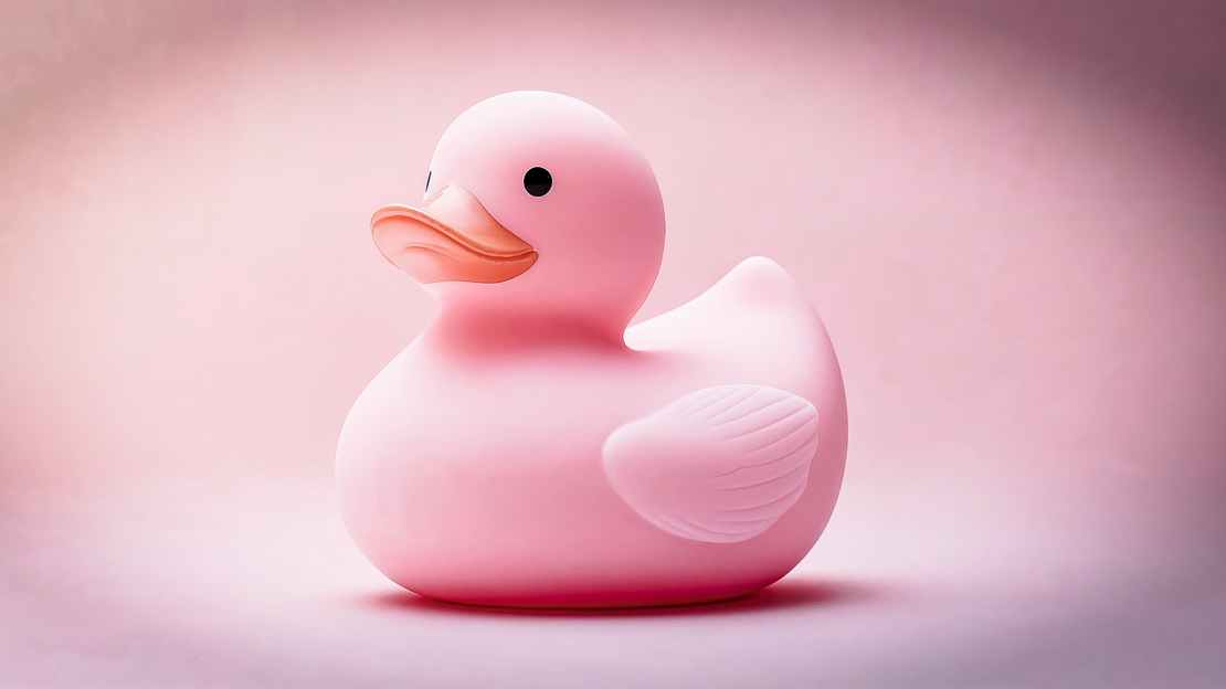 rubber duck