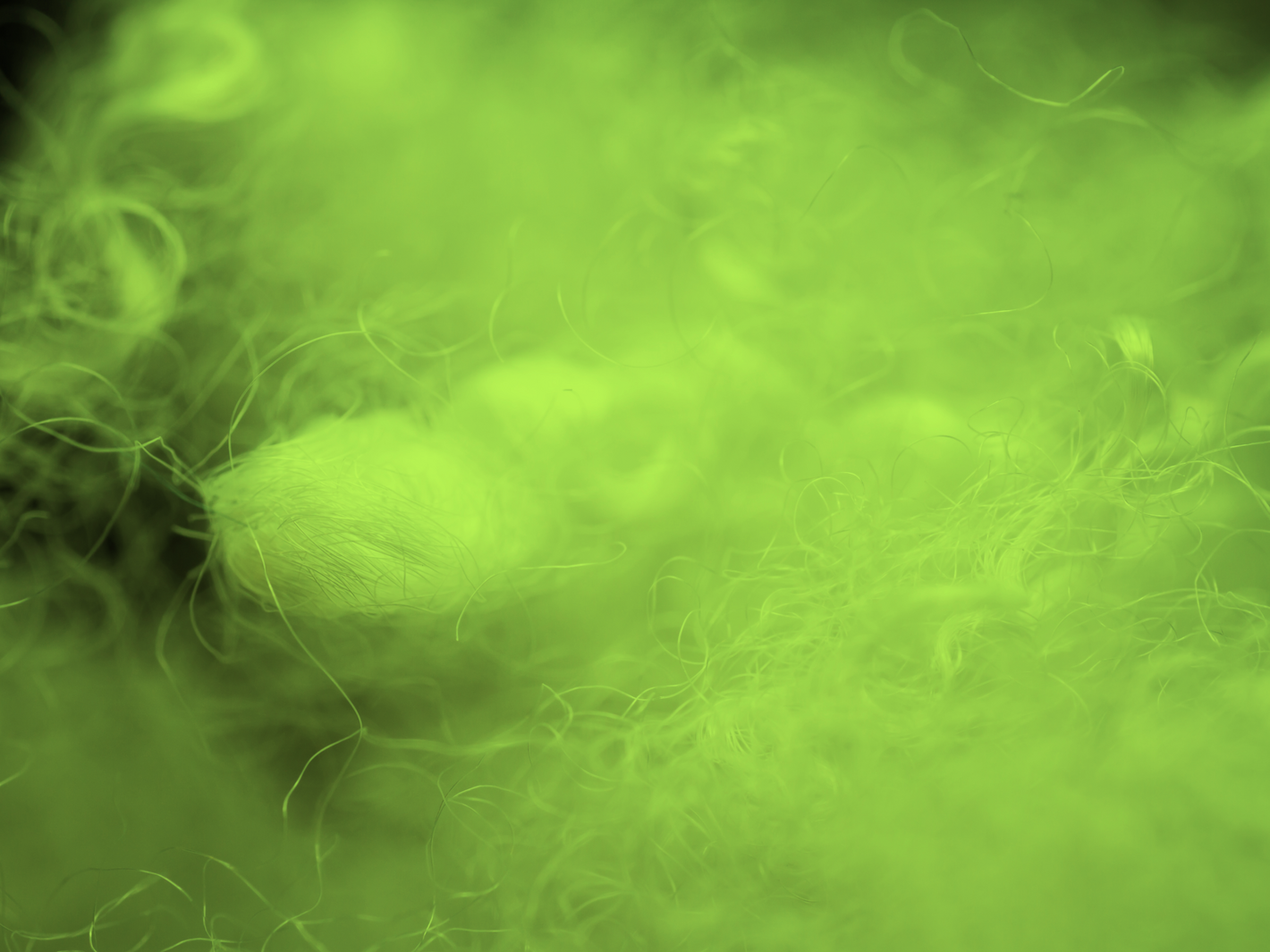 textilefibrerecycle