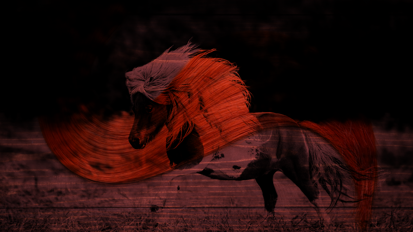 my little pony