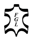 FGL logo